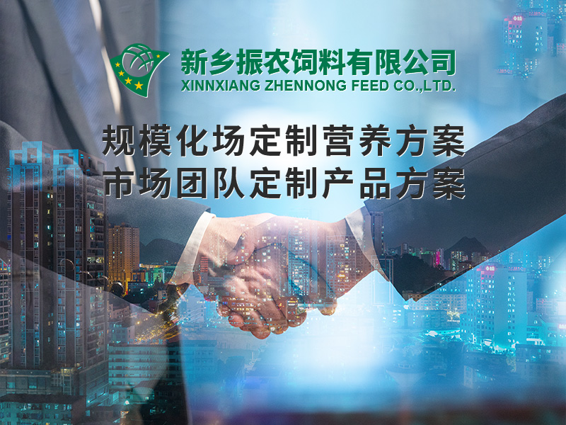 規(guī)?；喼?>
                          </div>
                          <div   id=